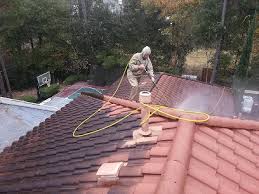 Roof Cleaning